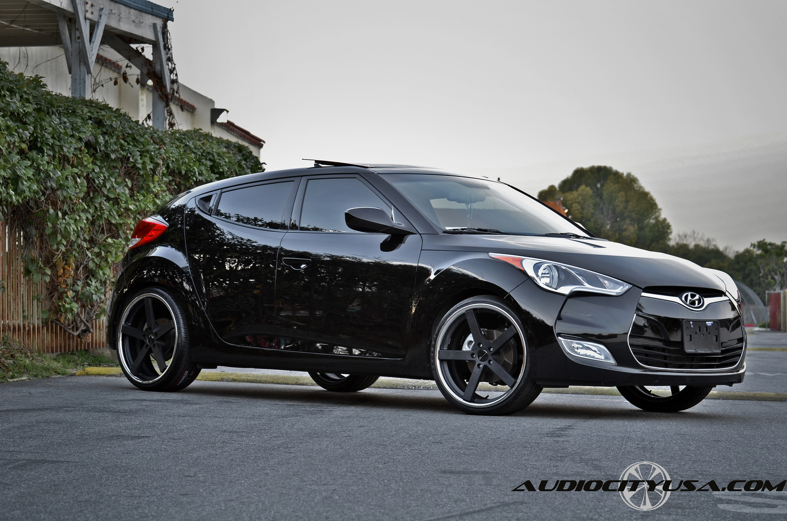 Giovanna Mecca Black on Hyundai Veloster